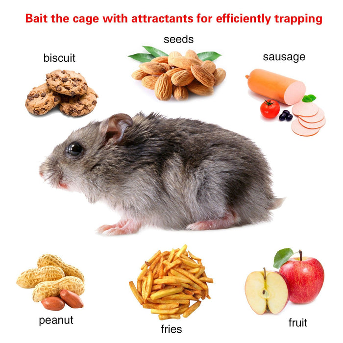 Rat Trap Cage Humane Live Rodent Trap Cage Mouse Control Bait Catch