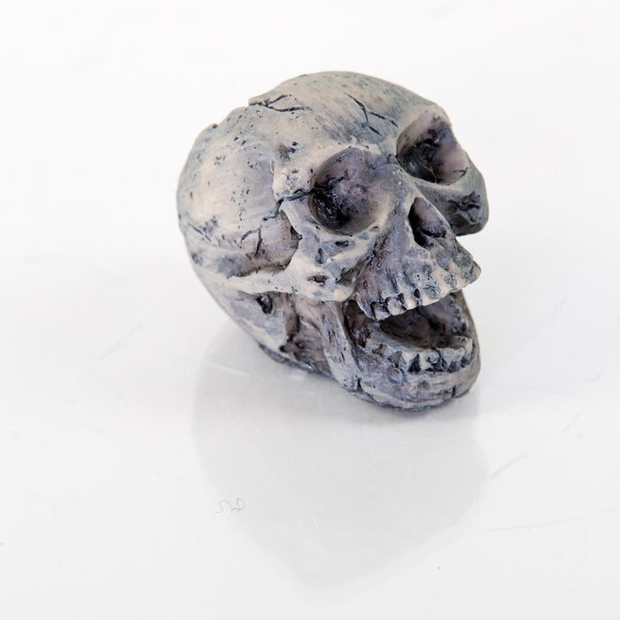 Decorative Human Skull