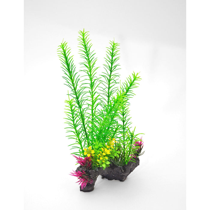 Decorative Foxtail