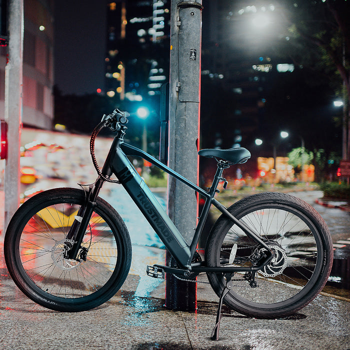 Trustmade Ebike