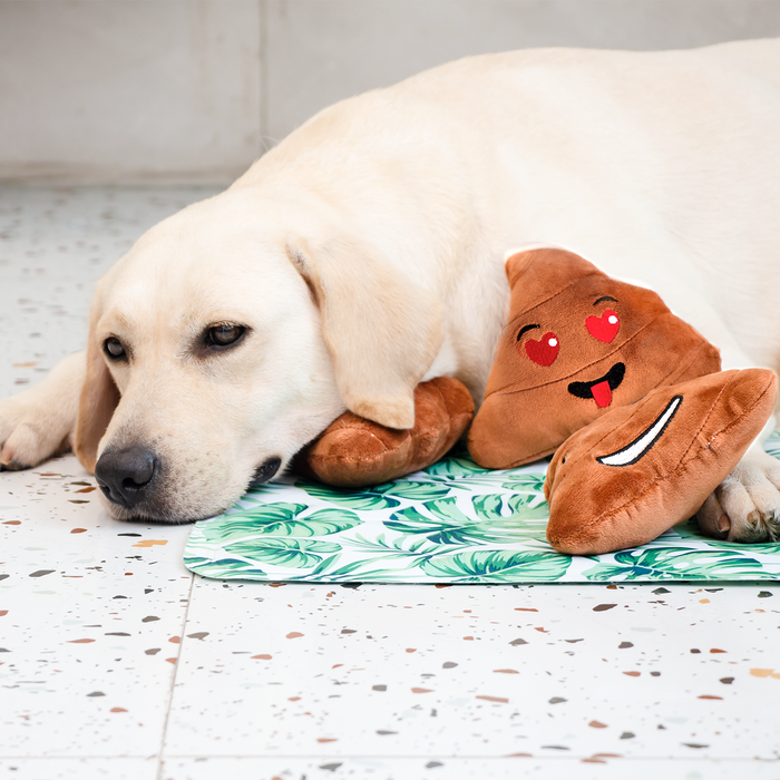 Dog Cooling Mat