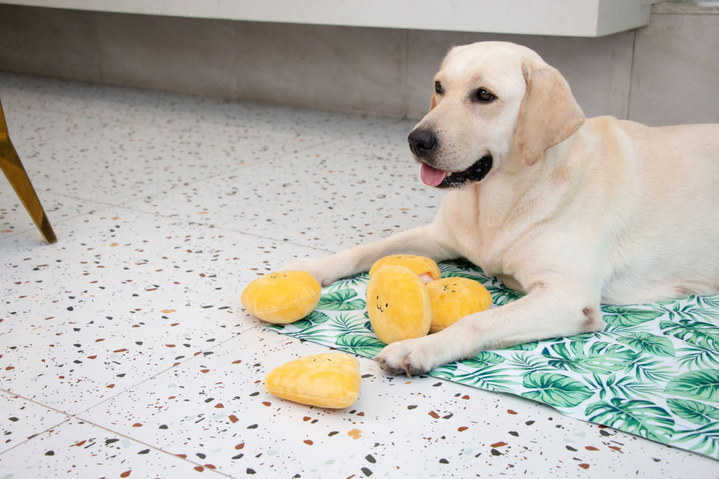 Dog Cooling Mat