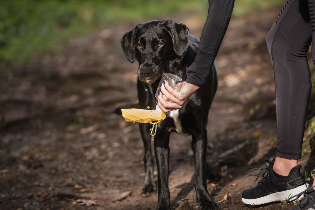 GF Pet Water Bottle