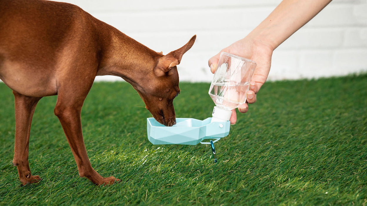 GF Pet Water Bottle