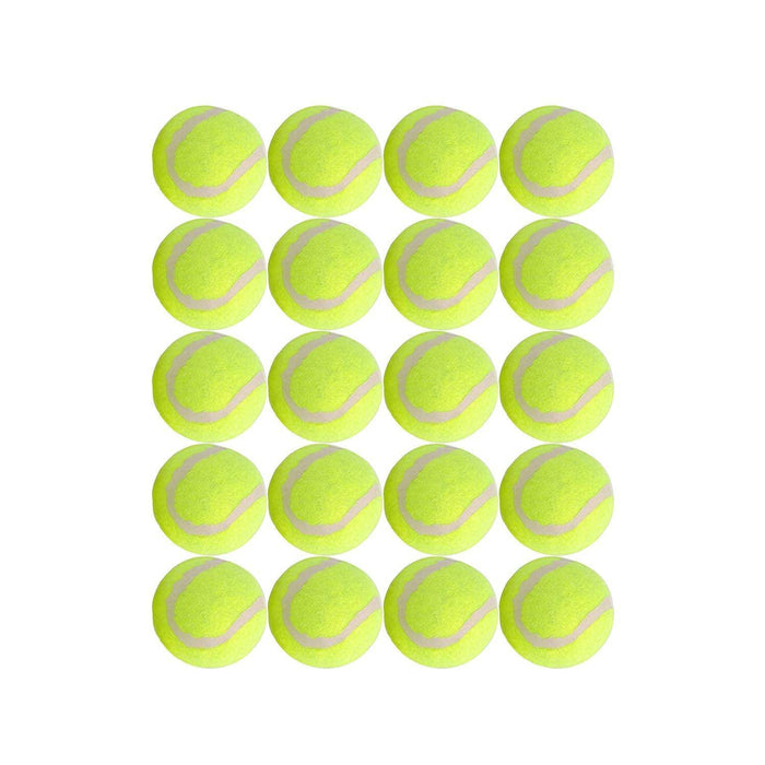 Dog Tennis Balls 20 Pack Pet Tennis Ball for Small Dogs Premium Fetch Toy Non-Toxic Non-Abrasive Material